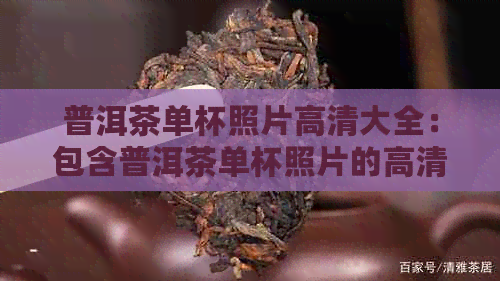 普洱茶单杯照片高清大全：包含普洱茶单杯照片的高清资源合集。