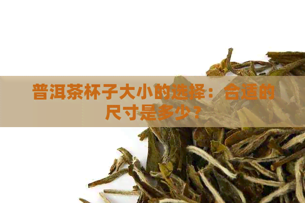 普洱茶杯子大小的选择：合适的尺寸是多少？