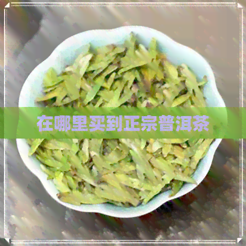 在哪里买到正宗普洱茶