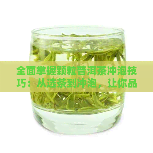 全面掌握颗粒普洱茶冲泡技巧：从选茶到冲泡，让你品鉴更完美！