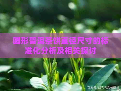 圆形普洱茶饼直径尺寸的标准化分析及相关探讨