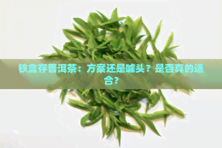 铁盒存普洱茶：方案还是噱头？是否真的适合？