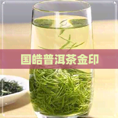 国皓普洱茶金印