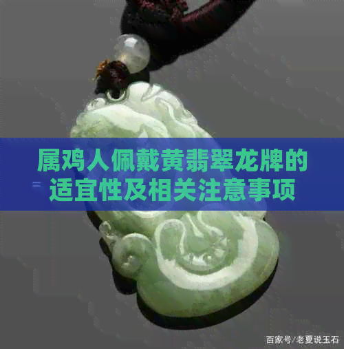 属鸡人佩戴黄翡翠龙牌的适宜性及相关注意事项