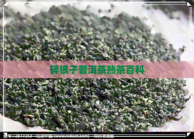 碎银子普洱茶熟茶百科