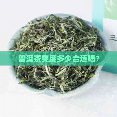 普洱茶爽度多少合适喝？