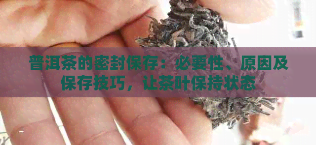 普洱茶的密封保存：必要性、原因及保存技巧，让茶叶保持状态