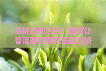 从挑选到烹饪：如何让普洱茶煮葫芦呈现出诱人的颜色与香气