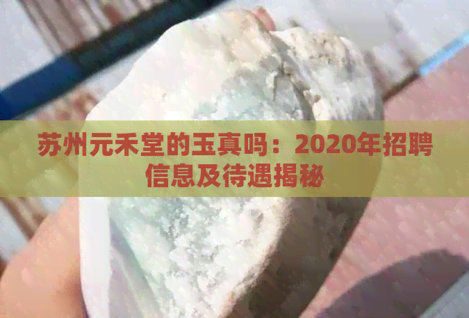 苏州元禾堂的玉真吗：2020年招聘信息及待遇揭秘