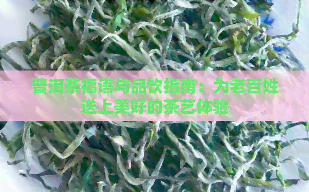 普洱茶福语与品饮指南：为老百姓送上美好的茶艺体验