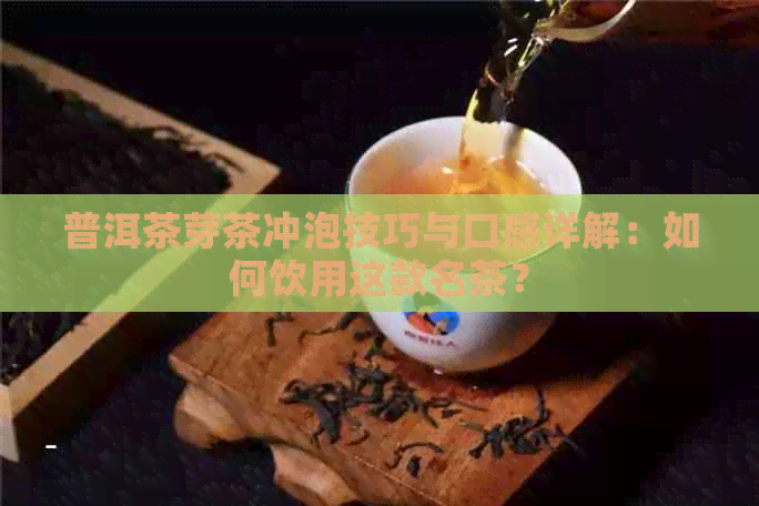 普洱茶芽茶冲泡技巧与口感详解：如何饮用这款名茶？