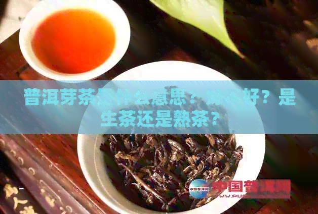 普洱芽茶是什么意思？好不好？是生茶还是熟茶？