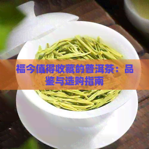 福今值得收藏的普洱茶：品鉴与选购指南