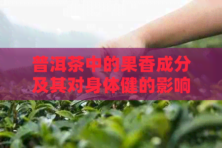 普洱茶中的果香成分及其对身体健的影响解析