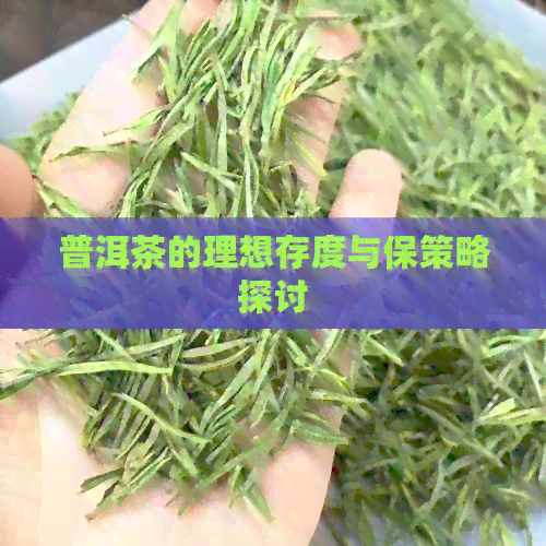 普洱茶的理想存度与保策略探讨