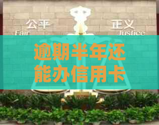 逾期半年还能办信用卡吗：关于逾期半年后办理信用卡及贷款的问题解答