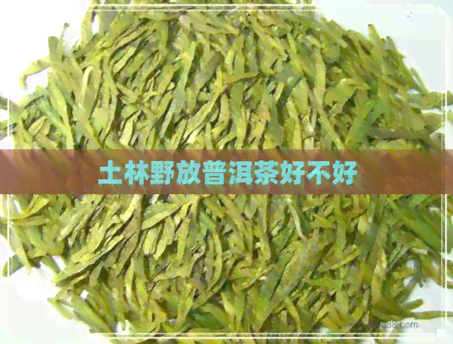 土林野放普洱茶好不好