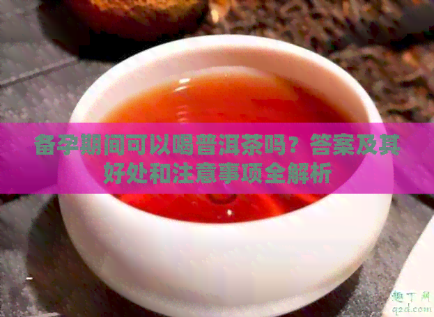 备孕期间可以喝普洱茶吗？答案及其好处和注意事项全解析