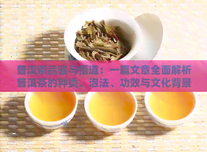 普洱茶品鉴与悟道：一篇文章全面解析普洱茶的种类、泡法、功效与文化背景