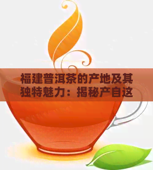 福建普洱茶的产地及其独特魅力：揭秘产自这里的高品质茶叶