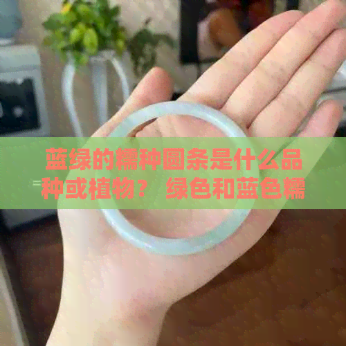 蓝绿的糯种圆条是什么品种或植物？ 绿色和蓝色糯米在哪些食品中使用？