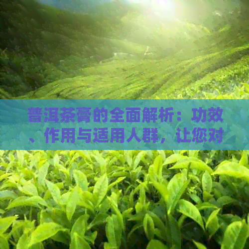 普洱茶膏的全面解析：功效、作用与适用人群，让您对普洱茶膏了如指掌