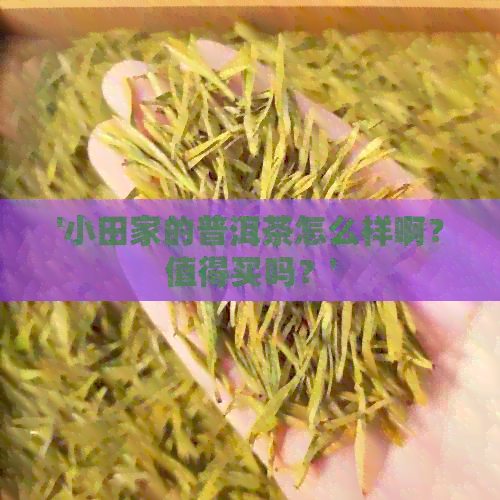 '小田家的普洱茶怎么样啊？值得买吗？'