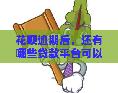 花呗逾期后，还有哪些贷款平台可以提供借款？