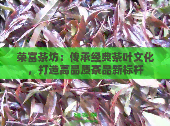 荣富茶坊：传承经典茶叶文化，打造高品质茶品新标杆