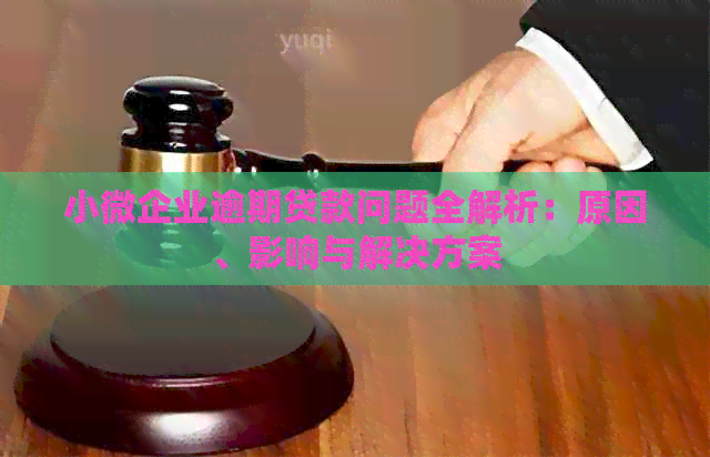 小微企业逾期贷款问题全解析：原因、影响与解决方案