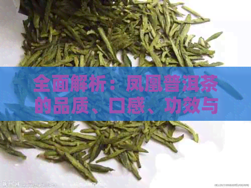 全面解析：凤凰普洱茶的品质、口感、功效与泡法，解答你对普洱茶的所有疑问