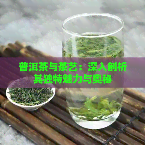 普洱茶与茶艺：深入剖析其独特魅力与奥秘