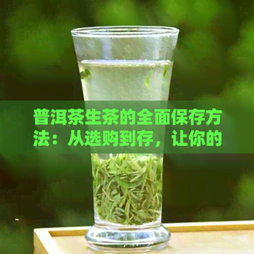 普洱茶生茶的全面保存方法：从选购到存，让你的茶叶保持状态