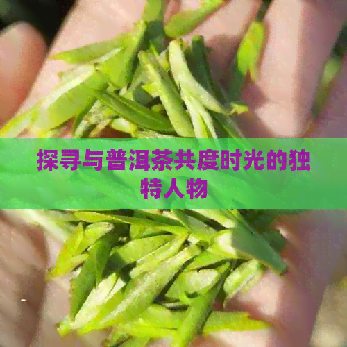 探寻与普洱茶共度时光的独特人物