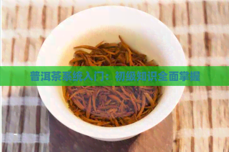 普洱茶系统入门：初级知识全面掌握