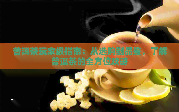 普洱茶玩家级指南：从选购到品鉴，了解普洱茶的全方位攻略