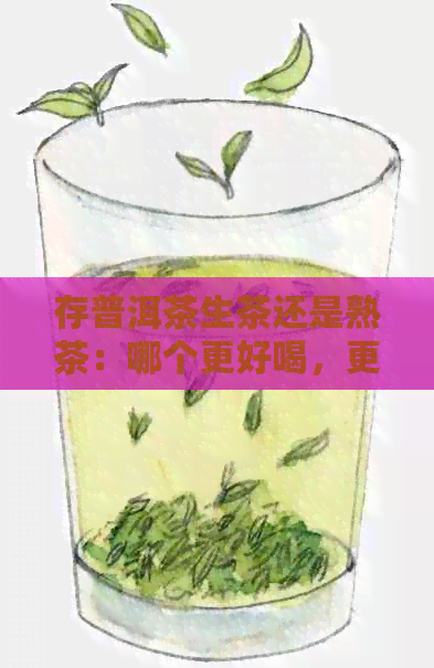 存普洱茶生茶还是熟茶：哪个更好喝，更值得收藏？