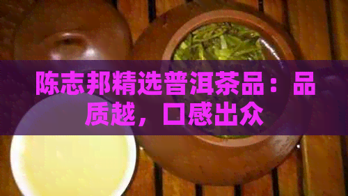 陈志邦精选普洱茶品：品质越，口感出众