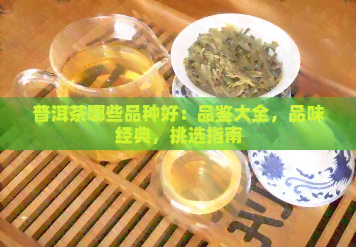 普洱茶哪些品种好：品鉴大全，品味经典，挑选指南