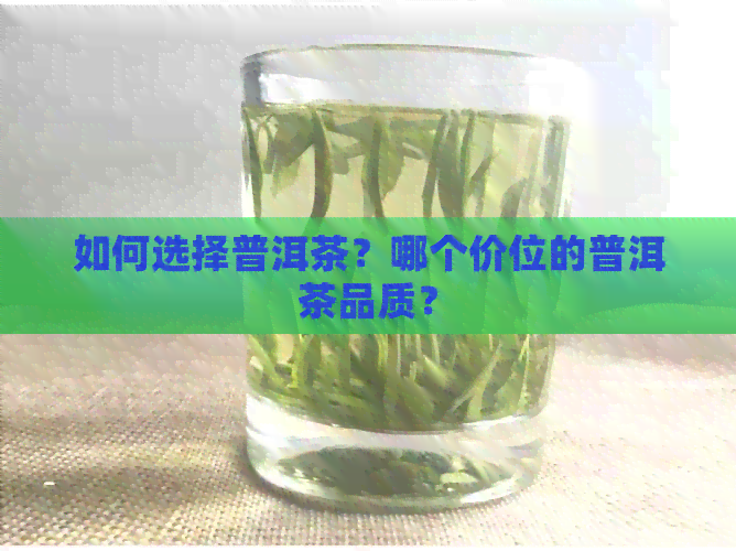 如何选择普洱茶？哪个价位的普洱茶品质？