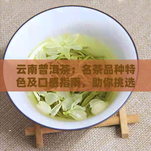 云南普洱茶：名茶品种特色及口感指南，助你挑选好喝的茶