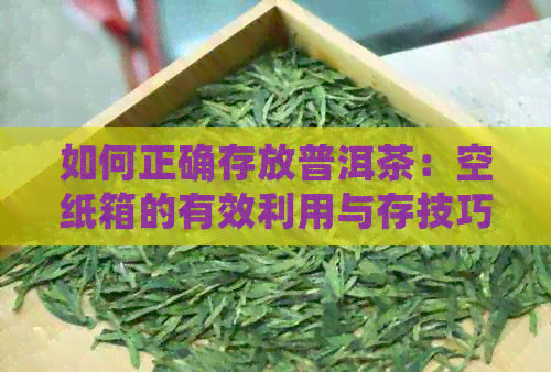 如何正确存放普洱茶：空纸箱的有效利用与存技巧