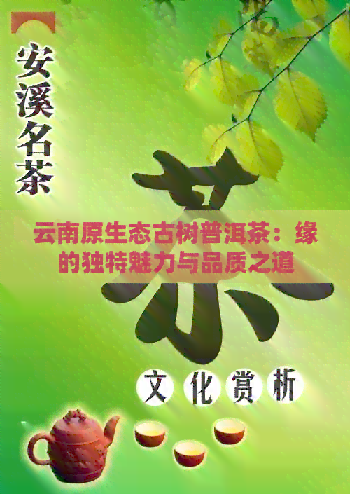 云南原生态古树普洱茶：缘的独特魅力与品质之道