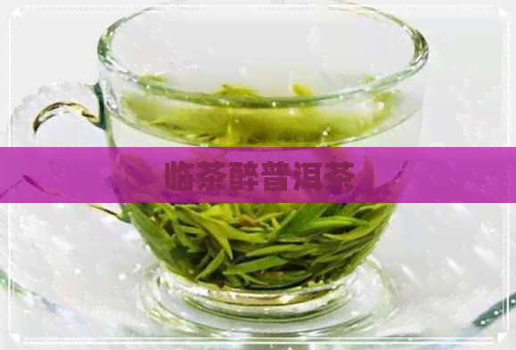 临茶醉普洱茶