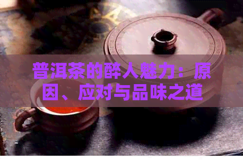 普洱茶的醉人魅力：原因、应对与品味之道