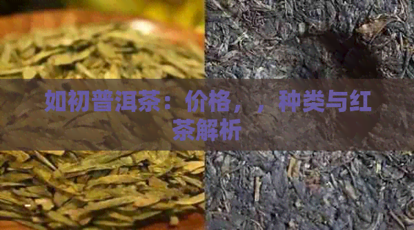 如初普洱茶：价格，，种类与红茶解析