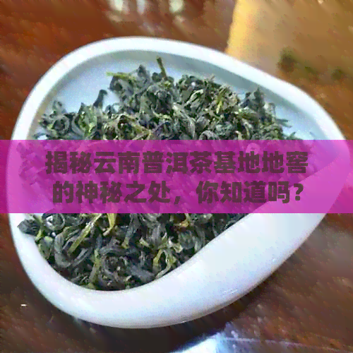 揭秘云南普洱茶基地地窖的神秘之处，你知道吗？