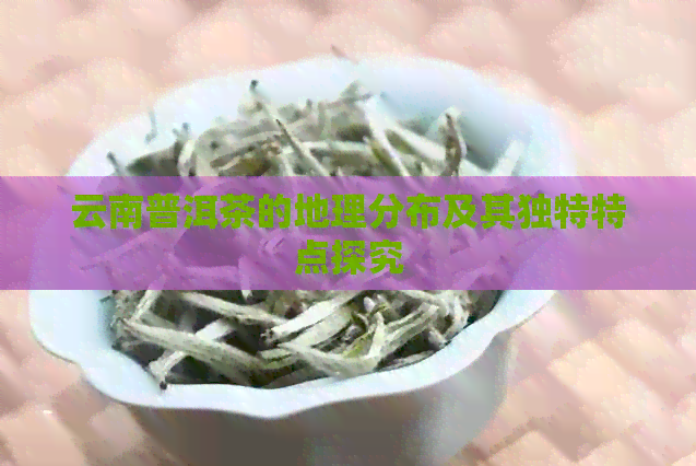 云南普洱茶的地理分布及其独特特点探究