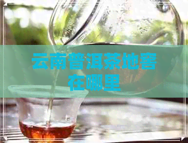 云南普洱茶地窖在哪里