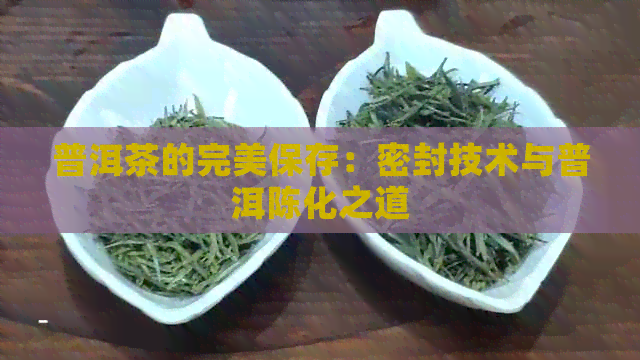 普洱茶的完美保存：密封技术与普洱陈化之道